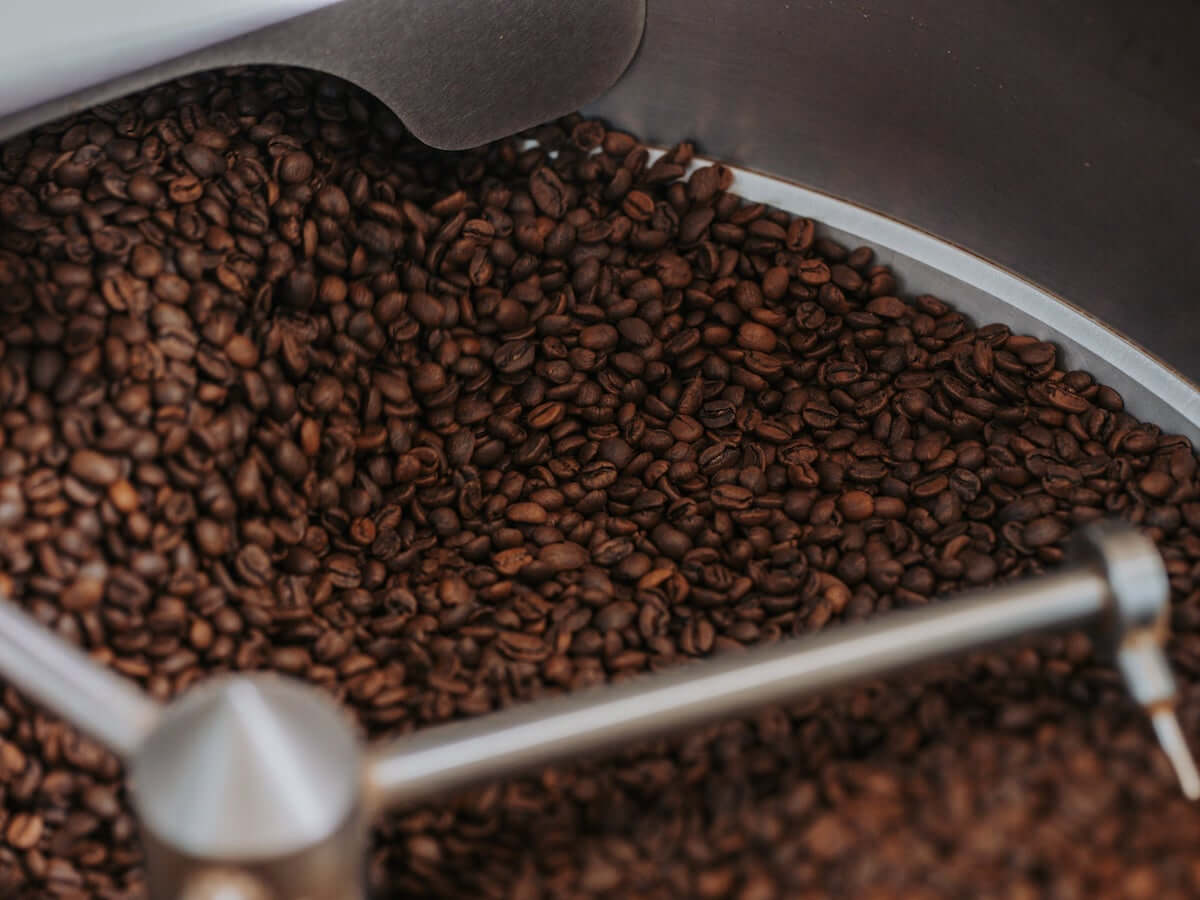Mikko | Rêverie décaféiné à la canne à sucre - Colombie