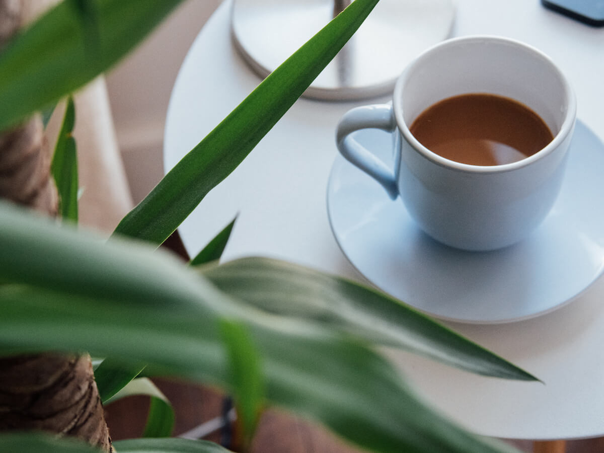 Stelton | Emma Saucers - 2pcs - CAFUNE - Serveware - Canada